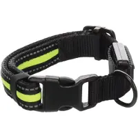 Flamingo Flitzy Hundehalsband