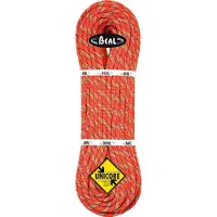 BEAL - Tiger 10 mm Golden Dry - Einfachseil Gr 70 m rot