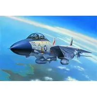Hobby Boss F-14A Tomcat