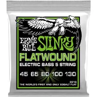 Ernie Ball 2816 Regular Slinky 5