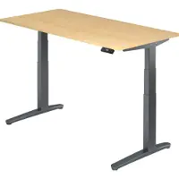 Hjh OFFICE PRO XBHM 16 GG - Ahorn 160 x 80 elektrisch höhenverstellbar