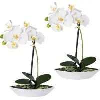 Creativ Green Kunstorchidee "Phalaenopsis" 2er Set, in Kunststoffschale