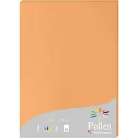 Pollen Papier