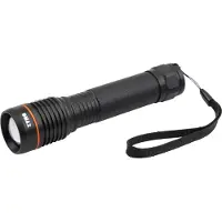 DMAX Taschenlampe TLG 301
