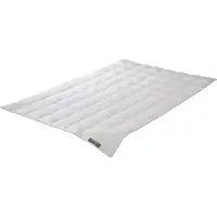 Badenia irisette Badenia Trendline Princess Sommerdecke 155x220 cm, Dauneneinziehdecke leicht