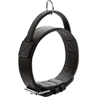 Hunter Trainingshalsband mit Gri Larvik