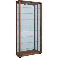 Hioshop Wandvitrine Sammelvitrine Glasvitrine Wand Vitrine Regal Schrank Glas Hängevitrine "Vitrosa Maxi