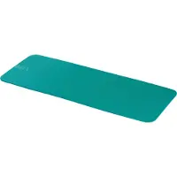 Airex Gymnastikmatte Fitline Wasserblau, 140 cm