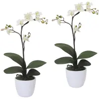 Creativ Green Kunstpflanze "Orchidee Phalaenopsis", weiß, H:55cm, Kunststoff, Polyester, Kunstpflanzen, Kunstpflanze, im Keramiktopf