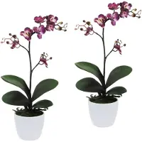 Creativ Green Kunstpflanze "Orchidee Phalaenopsis", lila, H:55cm, Kunststoff, Polyester, Kunstpflanzen, Kunstpflanze, im Keramiktopf