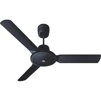 Vortice Evolution