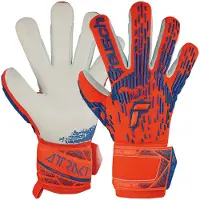 Reusch Attrakt Freegel Torwarthandschuhe
