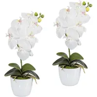 Creativ Green Kunstpflanze "Orchidee Phalaenopsis", weiß, H:40cm, Kunststoff, Polyester, Kunstpflanzen, Kunstpflanze, im Keramiktopf