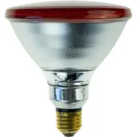 Philips PAR38 IR 175W E27 240V Red 1CT/12, 175 W, E27, 5000 h, Infrared, 308 g
