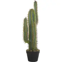 Beliani Cactus