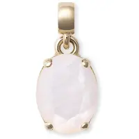 Daniel Wellington Charmanter vergoldeter Anhä nger mit Perlmutt DW00401461