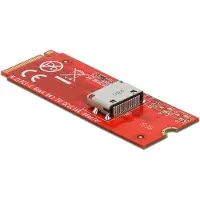 DeLOCK M.2 Key M zu 1 x OCuLink SFF-8612 Konverter
