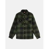 Dickies Hemd Portland Shirt Herren Black / Green-M