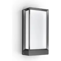 Steinel L 42 C LED-Außenwandleuchte, anthrazit, App, IP54 - , L 42 C Bluetooth, Schwarz, Metall