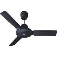 Vortice Evolution