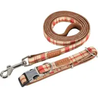 Zolux Rope IMAO SCOTT 25 mm
