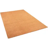 Snapstyle Hochflor Velours Teppich Luna