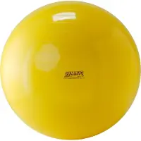 Gymnic Fitnessball 1 St