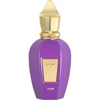 XERJOFF " V " Muse Eau De Parfum 50 ml (unisex)