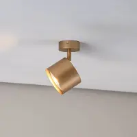 Argon Deckenspot Chloe verstellbar einflammig, gold , dimmbar, messing / gold, für Wohn- / Esszimmer, Metall, Modern
