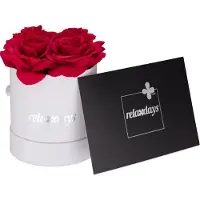 Relaxdays Rosenbox