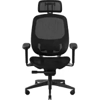 Razer Fujin Pro, Netz-Sitz, Netz-Rückenlehne, Schwarz, Schwarz, Netz, Netz