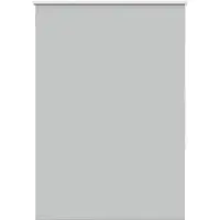 vidaXL Verdunkelungsrollo Hellgrau 100x175 cm Stoffbreite 95,7cm
