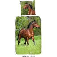 Muller Textil Duvet cover Good Morning 135x200 + 1* 80x80 cm - horse