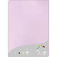 Pollen Papier