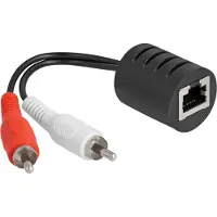 DeLOCK Stereo Audio Extender RJ45 Bu zu 2x Cinch St 50m 2 St