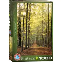 Eurographics Forest Path 1000pcs, 1000 Stück(e), Landschaft