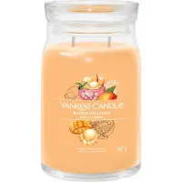 Yankee candle Mango Ice Cream Candle (Mango-Eiscreme) – 567,0 g