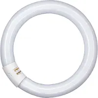 Osram LUMILUX, 32 W, G10Q, T9, 9000 h, 2250 lm, Kaltweiße