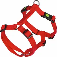 Kerbl Miami Gurtzeug Rot 25 mm x 75-100 cm Rot 25 mm x 75-100 cm