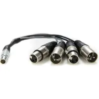 Atomos XLR Breakout Cable (in / out)