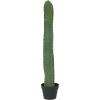 Europalms Mexikanischer Kaktus