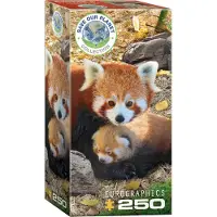 Eurographics Puzzle Rettet unseren Planeten: Rote Pandas XL 250 Stück