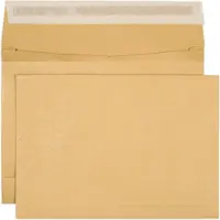 Elco Briefumschläge Ohne Fenster B4 353 (B) x 250 (H) mm Abziehstreifen Braun 140 g/m2 250 Stück
