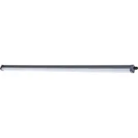 Philips Feuchtraumleuchten, Oberfläche, 1 Glühbirne(n), 6500 K, IP65, Grau