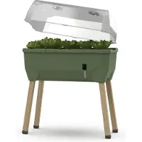 Gusta Garden Sammy Salad, Topfpflanzer, Freistehend, Polypropylen (PP), Holz, Anthrazit, Holz, Rechteck, Drinnen/Draußen