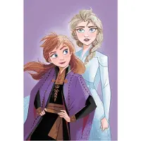 Tinisu Frozen Disney Kuscheldecke Plüschdecke 100 x 150 cm weiche Decke