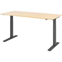 Hjh OFFICE PRO XMKA 19 G - Ahorn 180 x 80 elektrisch höhenverstellbar