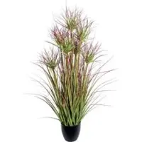 Pflanzen-Kölle Künstlicher Zyperngrasbusch, grünrot, Höhe ca. 95 cm