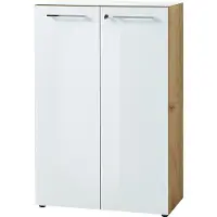 Germania Aktenschrank GW-Monteria