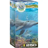 Eurographics Puzzle Rettet unseren Planeten: Delphine XL 250 Stück